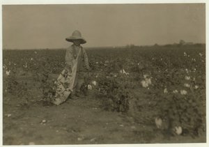 5 year old Willie Hesse picks 15 pounds of cotton a day on his parents