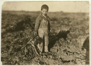 6 Year Old Jo Pulling Sugar Beets on a Farm Near Sterling, Colorado, 1915