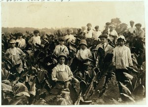 Goodrich Tobacco Farm, near Gildersleeve, Connecticut, 1917 by Lewis Wickes Hine