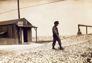 One of the young oyster shuckers, Pass Christian, Mississippi, February 1911