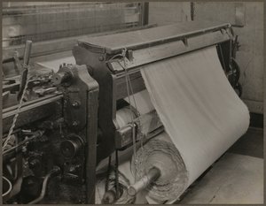 Quilling - A Close Up of the "Quills" by Lewis Wickes Hine
