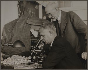 Research by Lewis Wickes Hine