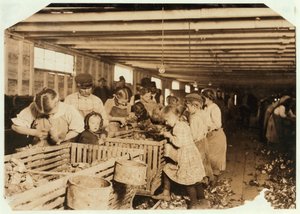 Rosy Aged 8 Works a 14 Hour Day as an Oyster Shucker at Dunbar Cannery, Louisiana, 1911