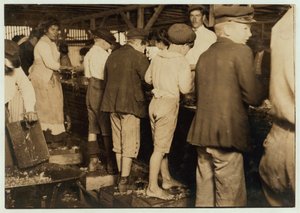 Shrimp Pickers, Including 8 Year Old Max, at Dunbar, Lopez, Dukate Co, Biloxi, Mississippi, 1911
