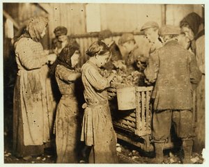 Shuckers Opening Oysters, 1913