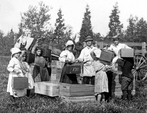 Unknown Image by Lewis Wickes Hine