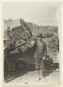 Young Driver In West Virginia Coal Mine by Lewis Wickes Hine