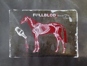 Fullblood Equine Skeleton by Li Gessbo