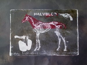 Half Blood Horse by Li Gessbo