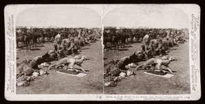 Boer War (South Africa) by Unbekannt Unbekannt
