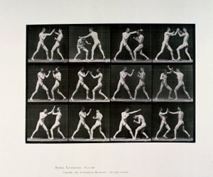 Nude Male Athletes Boxing by Unbekannt Unbekannt