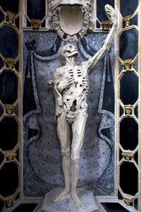 Flayed, or The Skeleton