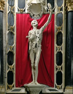 Flayed, or The Skeleton, the tomb of Rene de Chalon, Prince of Orange, c.1544