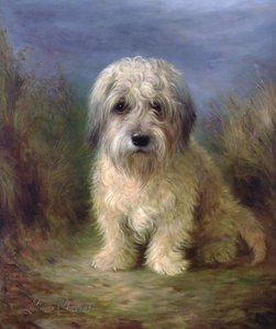 Dandie Dinmont Terrier by Lilian Cheviot