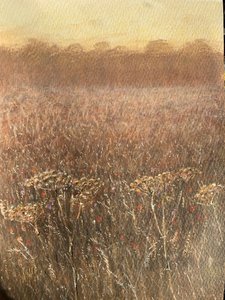 Bean Field Dusk