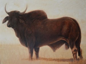 Brahmin Bull by Lincoln Seligman