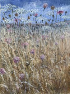 Cow Parsley 1 by Lincoln Seligman