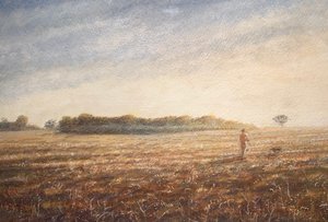 Dogwalk 1