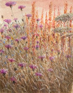Scabious & Docks