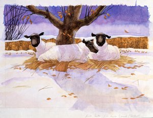 Sheep in the Snow by Linda Benton