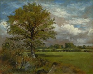 Tree in a Meadow