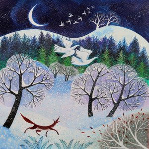 Cool Fox by Lisa Graa Jensen