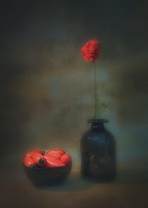 Red Flower Still Life
