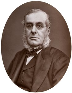 Admiral Sir Richard Collinson, Deputy-Master of Trinity House, 1877 by Lock and Whitfield