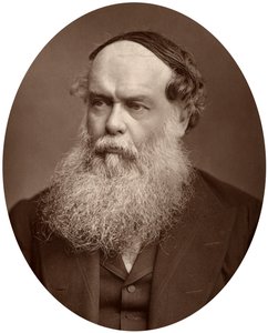 Birket Foster, Member of the Watercolour Society, 1880 by Lock and Whitfield