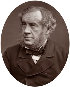 Hon Sir William Robert Grove, 1877 by Lock and Whitfield
