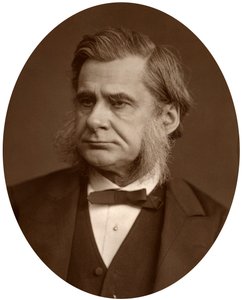 Professor Thomas Henry Huxley, 1880 by Lock and Whitfield