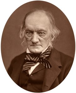 Richard Owen by Lock and Whitfield