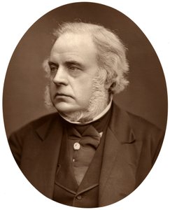Right Hon John Bright, MP for Birmingham by Lock and Whitfield
