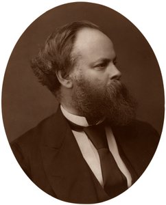 Samuel Plimsoll, Esq, MP, British Liberal Politician and Social Reformer, 1876 by Lock and Whitfield
