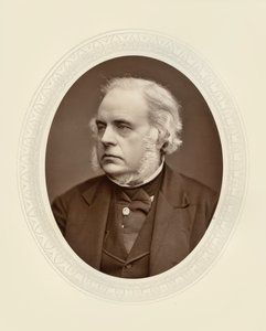 The Right Hon. John Bright by Lock and Whitfield