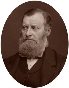 William Edward Forster MP by Lock and Whitfield