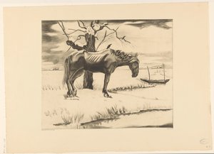 Horse in a Snowy Landscape
