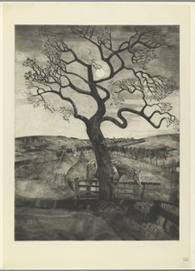 Horse in a Meadow near Etikhove by Lodewijk Schelfhout (signed by artist)