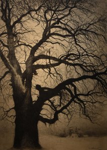 Tree in Winter by Leon Spilliaert