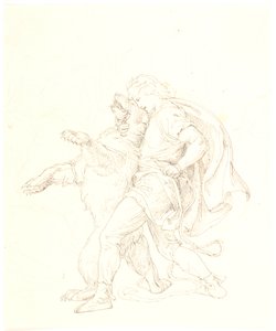 Draft for Skjold