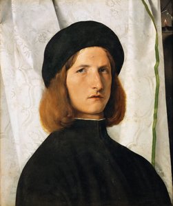 Portrait of a Young Man against a White Curtain