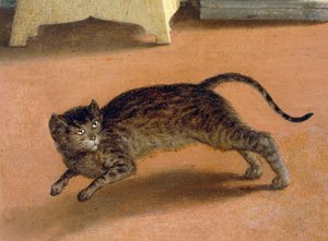 Terrified cat (detail)