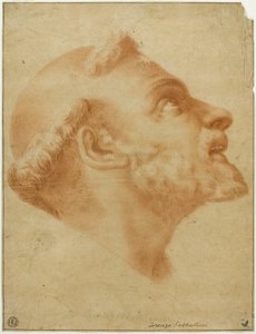 Upturned Head of Saint Dominic by Lorenzo Sabbatini