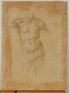 Bust of a Half-Naked Man, Without Head by Lorenzo di Credi