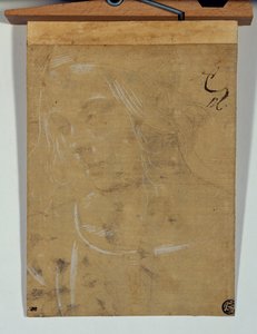 Head of a Young Girl, Three Quarters Towards the Left by Lorenzo di Credi