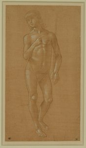 Nude Young Man, Full Face, Holding a Staff by Lorenzo di Credi