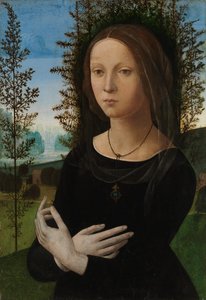 Portrait of a Young Woman