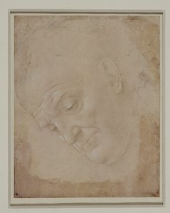 Portrait of a Bald Man, Turned Three Quarters to the Left by Lorenzo di Credi