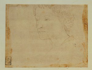 Portrait of a Boy with Curly Hair, Three-Quarters Towards the Left by Lorenzo di Credi