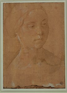 Portrait of a Woman with Hair in a Net by Lorenzo di Credi